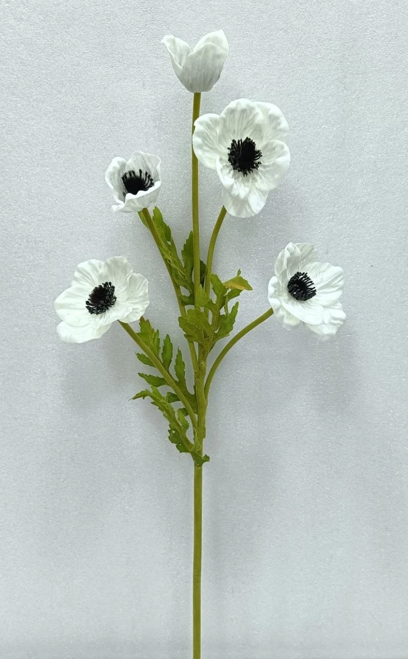 PU Daffodil 3+2